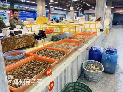 福州最全海鮮購(gòu)買攻略 從水產(chǎn)品批發(fā)市場(chǎng)到家庭餐桌